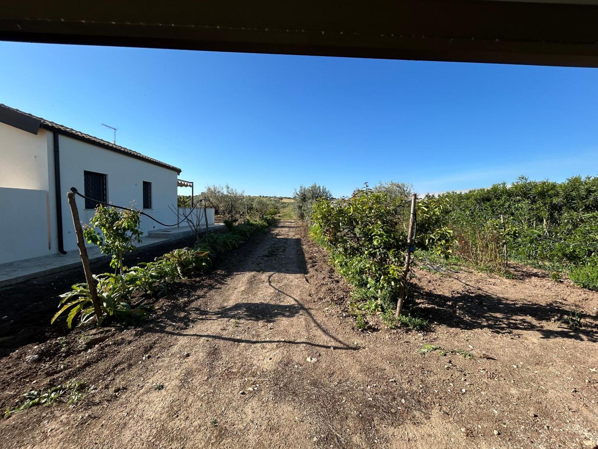 Baglio Il Gelso E L'Ulivo Appartamento Il Carrubo Reitani Exterior photo